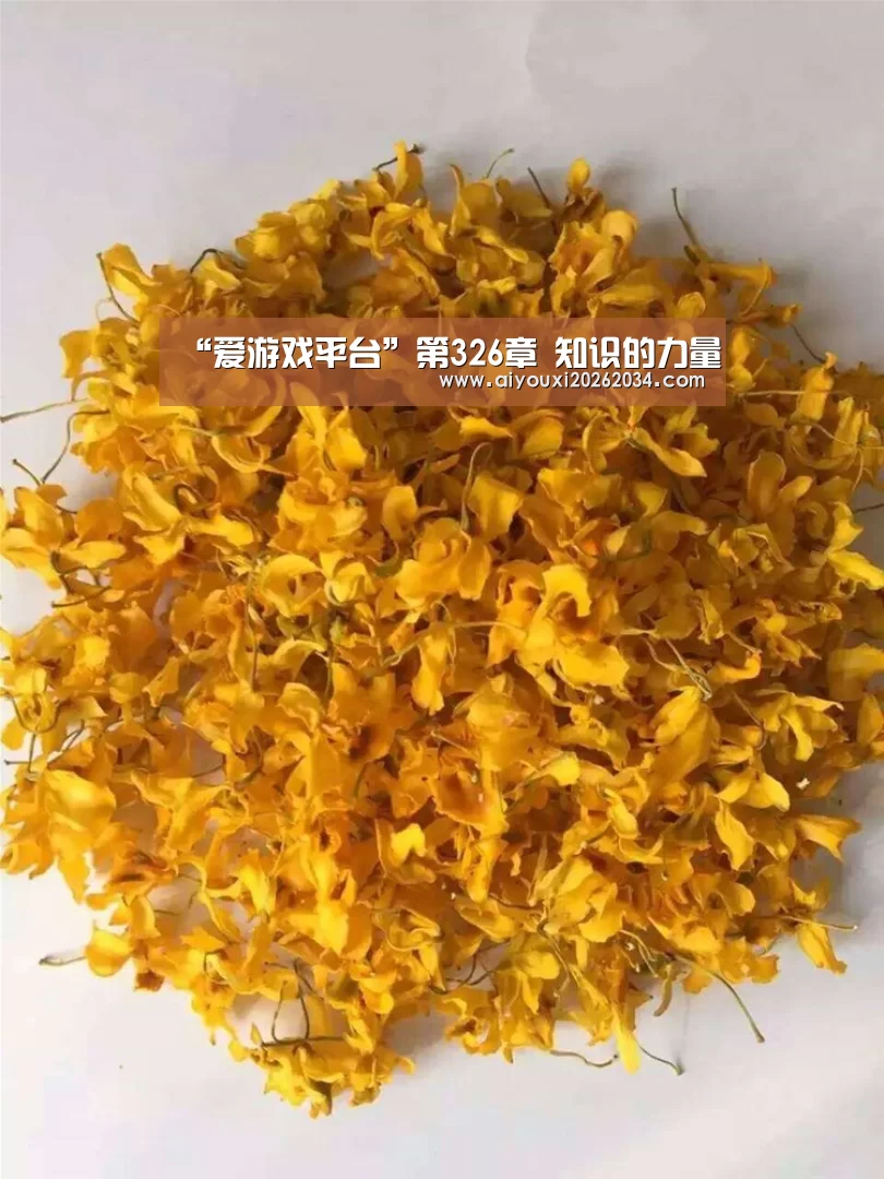 “爱游戏平台”第326章 知识的力量(图1) 爱游戏官方