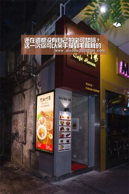 还在遗憾没有自己的宝可梦吗?这一次你可以亲手摸到毛茸茸的伊布了-爱游戏平台(图2) 爱游戏下载