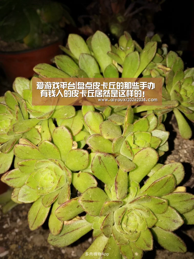 爱游戏平台